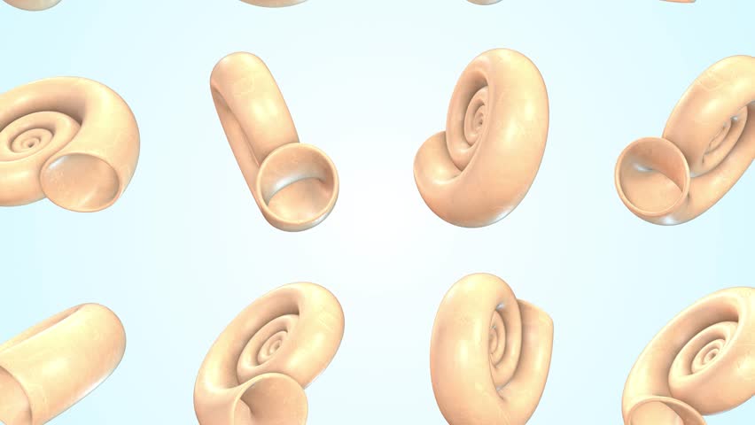 Set of Shells Falling on a Light Blue Background. Snail Shells 3D Animation. 4K