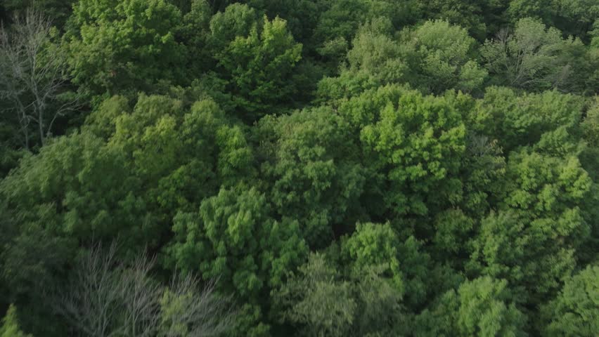 Aerial shot of Grandad Bluff overlooking the city of La Crosse, the Mississippi River Valley, Wisconsin, Minnesota in USA during daytime.