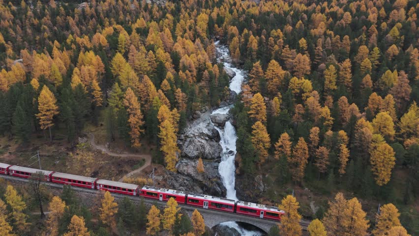 Bernina waterfall flowing through colorful larch forest in autumn, aerial pull out, engadine valley, canton of Graubünden, Switzerland, traditional express train passing an old aqueduct bridge