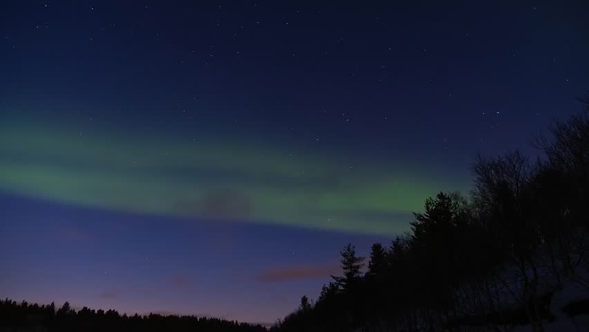 Aurora Green Above Winter Pine Forest Silhouette Loop. Beautiful Aurora Borealis animation background.