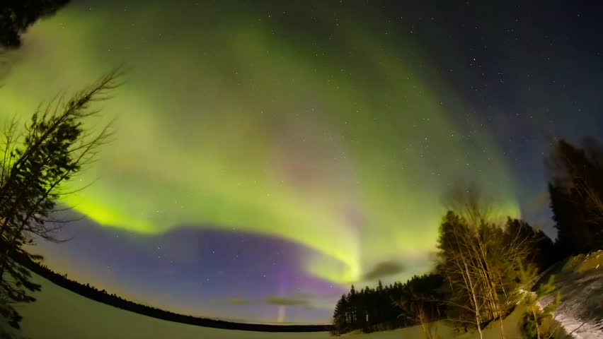Aurora Green Above Winter Pine Forest Silhouette Loop. Beautiful Aurora Borealis animation background.