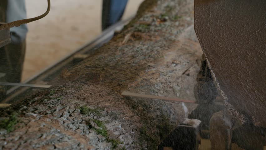 At the sawmill, a saw cuts brown wood. Tree bark and old rusty saw. Close-up. Work at the sawmill. Dust flies from wood and wood chips.