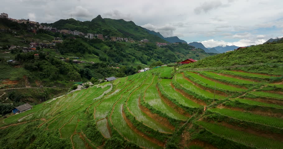 View of terraced rice fields on mountainous landscape, Sapa in Vietnam. Aerial forward at low altitude