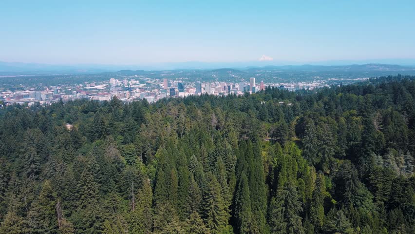 Aerial landscape of Council Crest Park Portland nature view on sunny summer day in Oregon USA