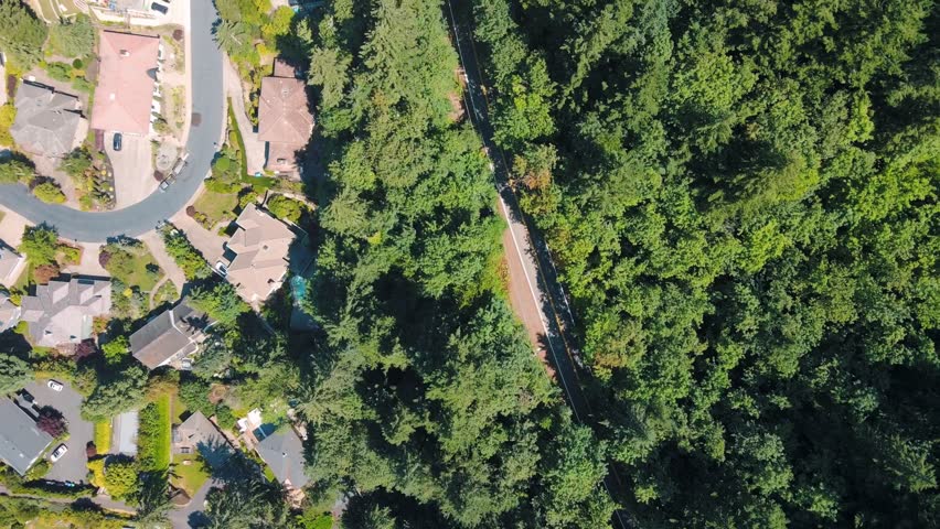 Aerial top down of Council Crest Park view Portland nature view on sunny summer day in Oregon USA
