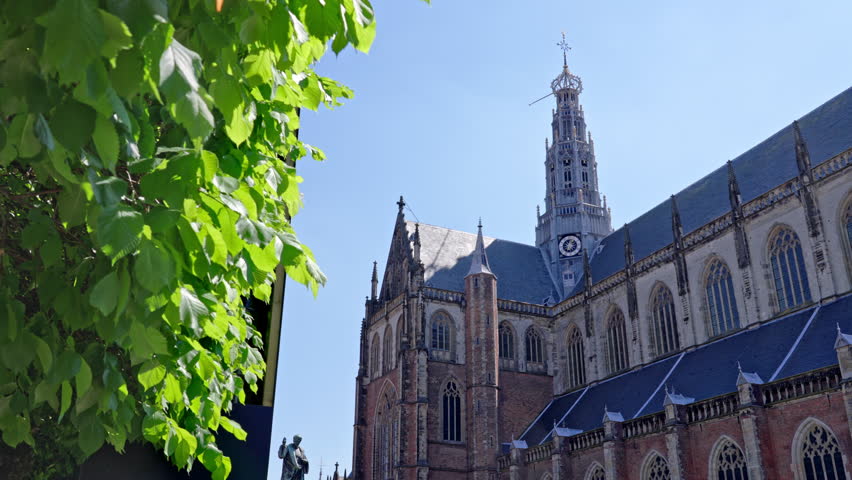 Grote Kerk Cathedral with tree leaves swaying in the wind on a clear day