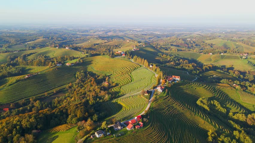Stunning aerial 4K drone footage of an wine region of Jeruzalem, Slovenia. Filmed on a crisp, sunny late autumn day, this video shows beautiful Slovenian countryside surrounded by vineyards.