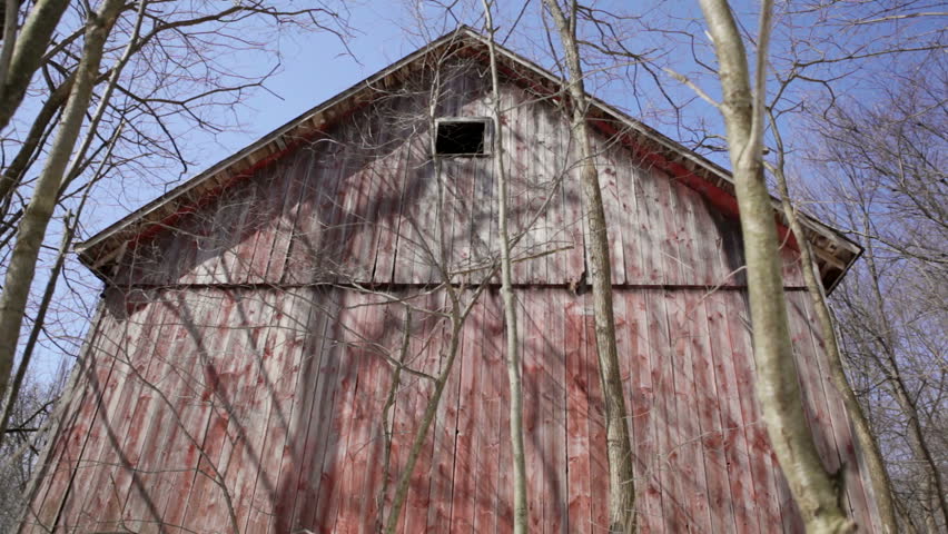 Weathered red barn of an abandoned 1910 homestead hidden in snowy woods in rural Wisconsin. The wood of the beautiful old barn is faded and textured with a stone foundation. Tilt shot.