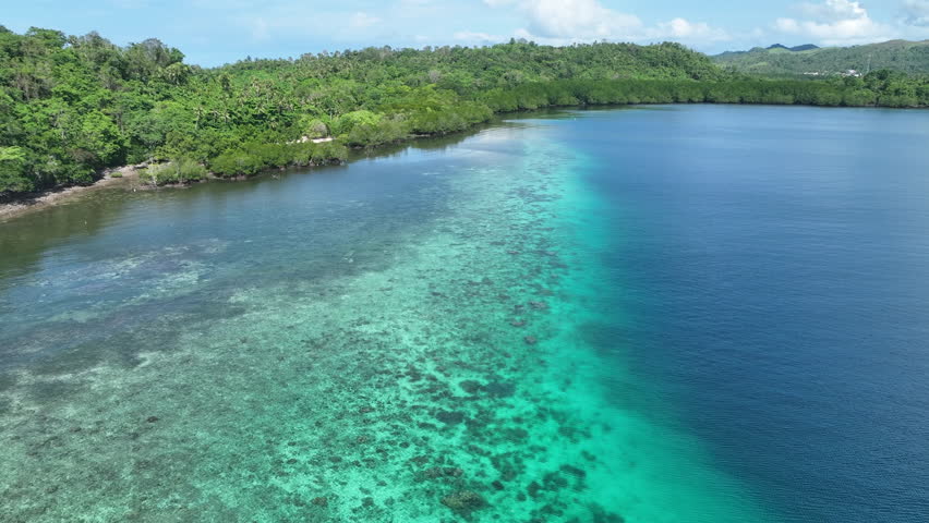 The tropical island of Bangka, just north of Sulawesi in Indonesia, is fringed by healthy coral reefs. This idyllic area is part of the Coral Triangle and harbors incredibly high marine biodiversity.