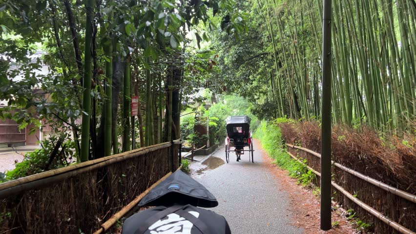 Arashiyama Bamboo Grove, Kyoto Japan