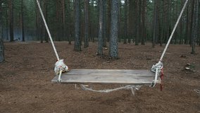A mystical swing with colored ribbons in a dark forest. The mysterious swinging of an empty Seesaw in the twilight on a hill by the lake. Scary swing, no one in the woods. - Powered by Shutterstock - Get 15% off with code: PIKWIZARD15