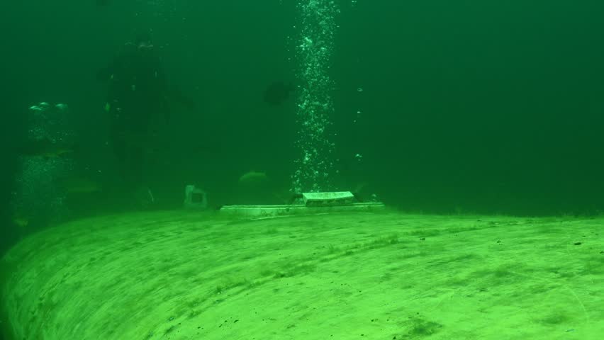 SCUBA Diving over a school bus with multiple rainbow trout Oncorhynchus mykiss