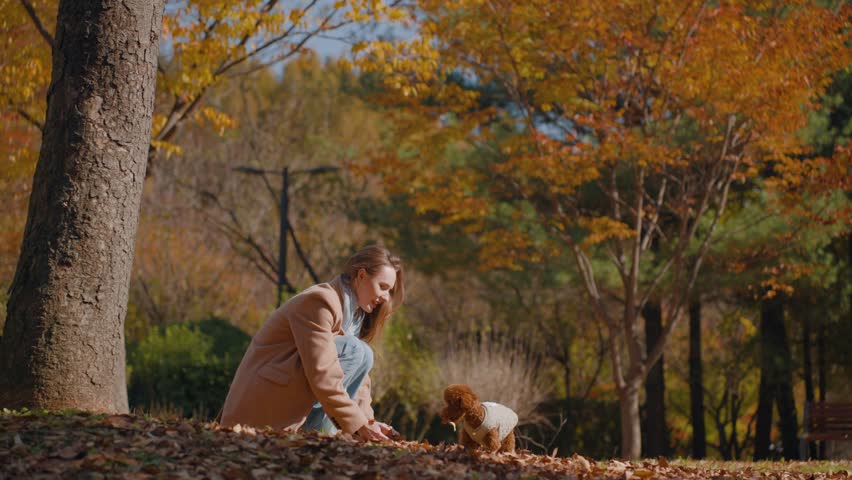 Young Female With Her Dog Throwing Autumn Leaves In The Park, Small Doggy Jumping on Hind Legs Catching Falling Leaf in slow motion