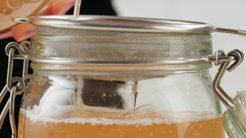 Kombucha tea, scoby fungus homemade Kombucha fermented drink, bacteria and yeast, fermentation, probiotic, Scoby, mushroom pro biotic, healthy fermented tea