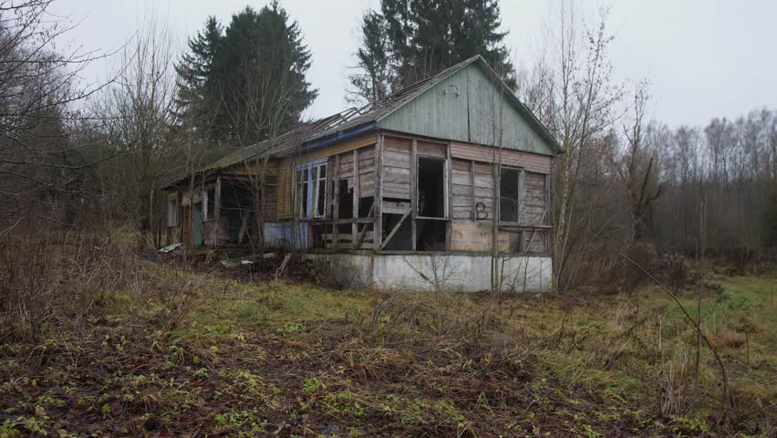 A dilapidated and forgotten house, heavily surrounded by dense and wild foliage, reflects natures powerful reclamation