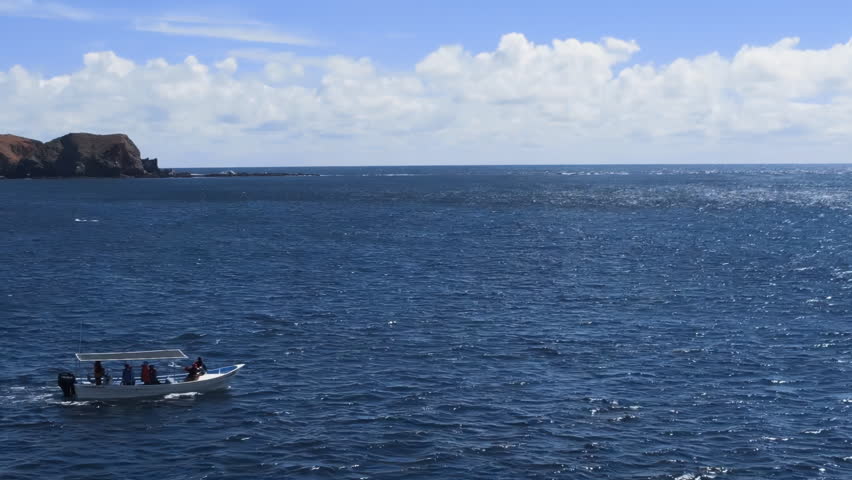 Small speed boat driving in Guerrero negro bay surrounded with hills. Whale watching tour in Baja California, Mexico. Bird eye view of whales in blue sea. Whale fountain. Gray Whale Family socialize