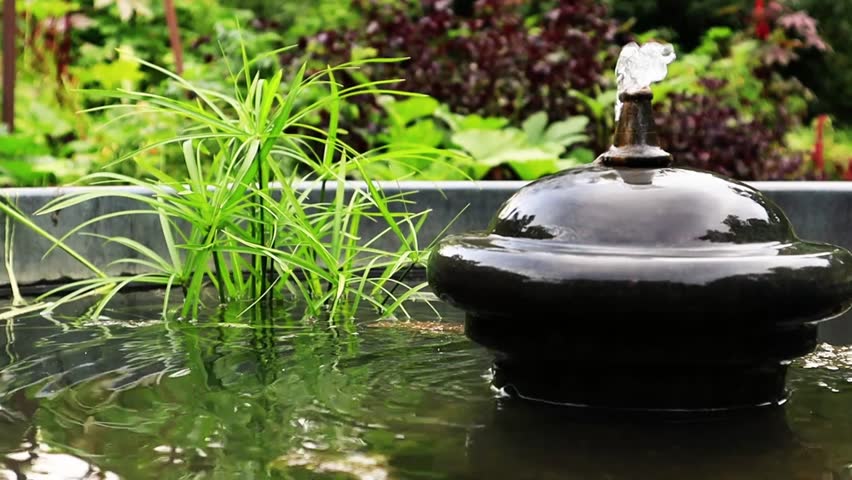 Decorative fountain with clear water in a pond in formal botanical garden. Spring, spring with a stream of water. green plants growing in water. 