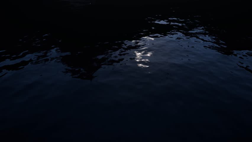 Amazon Rainforest River with wooden huts and wooden fishing boats on night time with full moon 3D animation camera reveal