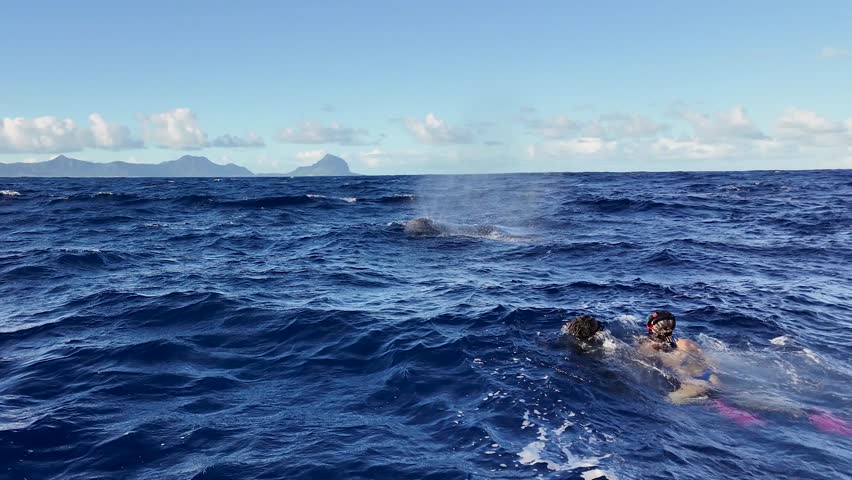Whale Watching At Port Louis Africa Island Mauritius. Turquoise Ocean Waves Gently Crashing On Tropical Beach. Holiday Skyline Season Stunning. Holiday Waterfront Shore. Port Louis Africa Island.