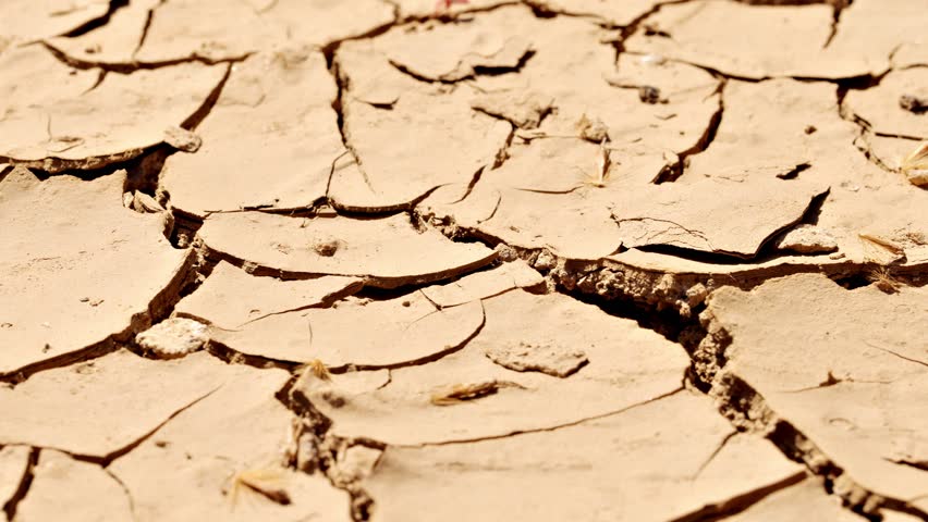 Close-up shot of the cracked surface of a dry lake during a drought.
