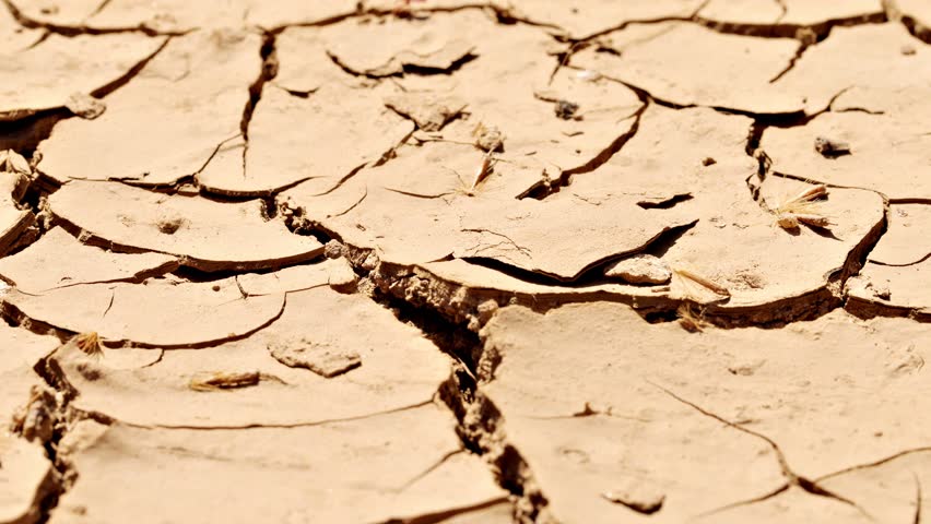 Close-up shot of the cracked surface of a dry lake during a drought.