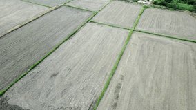 Soil that has been plowed into beds for planting crops. - Powered by Shutterstock - Get 15% off with code: PIKWIZARD15