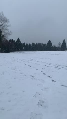 Slow snowing in the park 