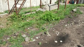 Historic Guard Tower at Abandoned Patarei Prison Shows Soviet-Era Surveillance Architecture. The rusted watchtower rises against the dramatic sky, showcasing the imposing security infrastructure - Powered by Shutterstock - Get 15% off with code: PIKWIZARD15