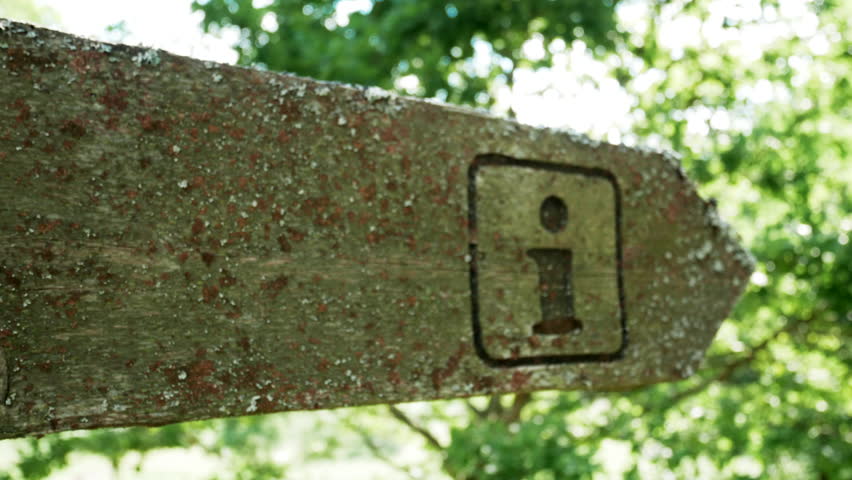 Weathered Wooden Letter I Trail Marker with Natural Moss and Lichen Growth in a Forest Setting. Close-up Shot of Rustic Information Sign Against Blurred Green Background