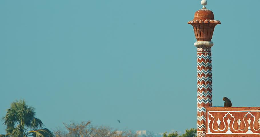 Agra, Uttar Pradesh, India. Monkey Sit On Old Red Fortress Gate Near Taj Mahal. Animal Life In Urban Environment. Animals Live Next To People. Bonnet Macaque - Macaca Radiata Or Zati. Indian Fauna