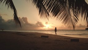 Silhouetted figure of a woman walking along a serene tropical beach under palm tree branches, with a vibrant sunset reflecting on the ocean horizon and soft sand below - Powered by Shutterstock - Get 15% off with code: PIKWIZARD15