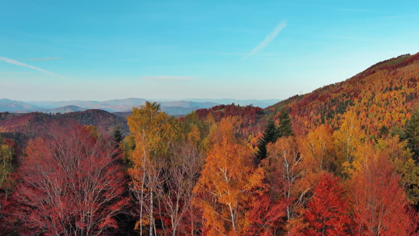 Flying over autumn colors forest in serene mountain landscape, 4k