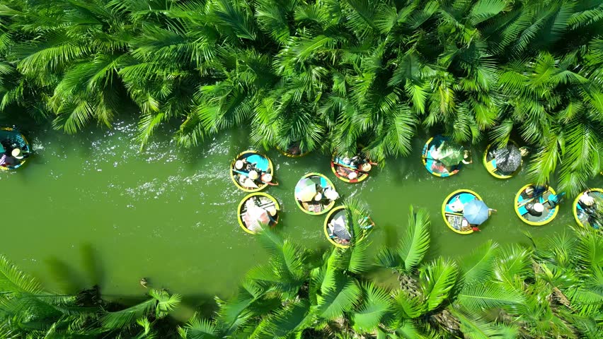Lush palms frame vibrant round boats gliding on a green river, showcasing the charm of Hoi An, Vietnam s enchanting waterways.
