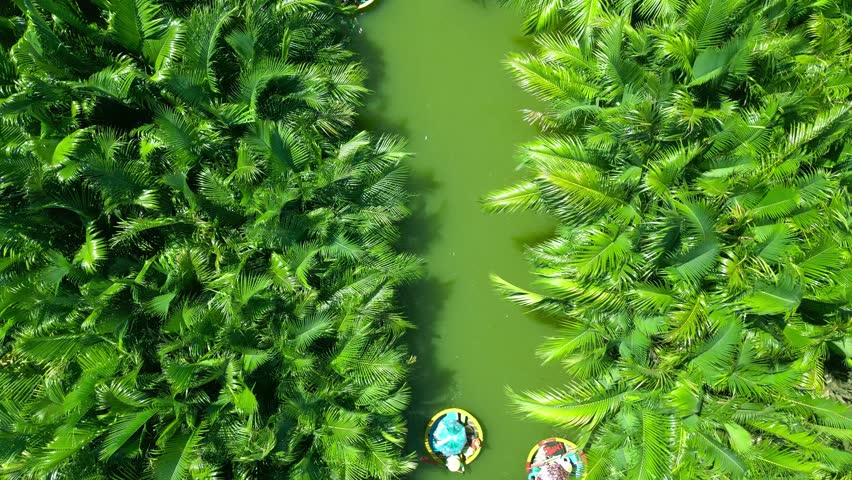 Lush greenery surrounds a serene river scene with round boats, umbrellas, and local residents enjoying the tranquil beauty of Hoi An, Vietnam.