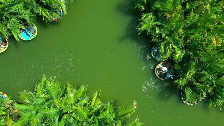 Lush greenery surrounds circular boats drifting in a serene river, showcasing the tranquil beauty of Hoi An, Vietnam.