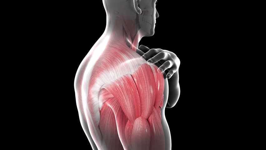 This 3d animation shows a man suffering from shoulder pain