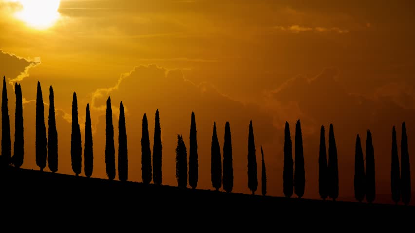 Cypress trees in Tuscany Time Lapse at Sunset with Red Sun and Fiery Sky, Italy