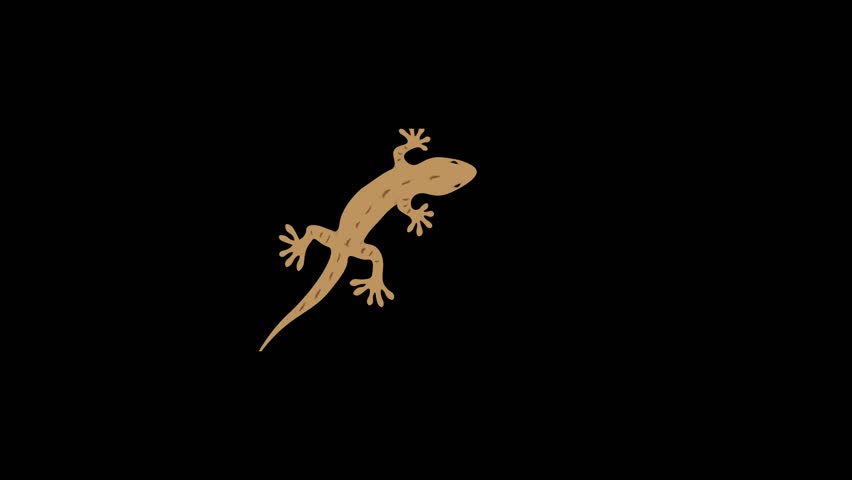 cartoon lizard animation.  Lizard Emoji Animated on a Transparent Background.