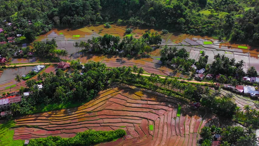 Aerial drone view Chocolate Hills and Rice Terraces Bohol Island, Philippines. High quality 4k footage