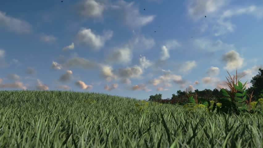 Green meadow, time lapse clouds, countryside scenery