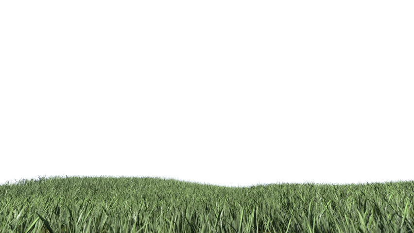 Grass Field against white with Alpha Matte