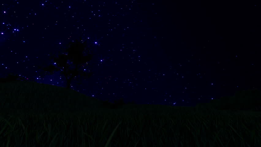 Tree Silhouette on Meadow and Starry Sky, Time Lapse, cam fly