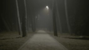 Lit park walkway at night, moody and scary feels - Powered by Shutterstock - Get 15% off with code: PIKWIZARD15