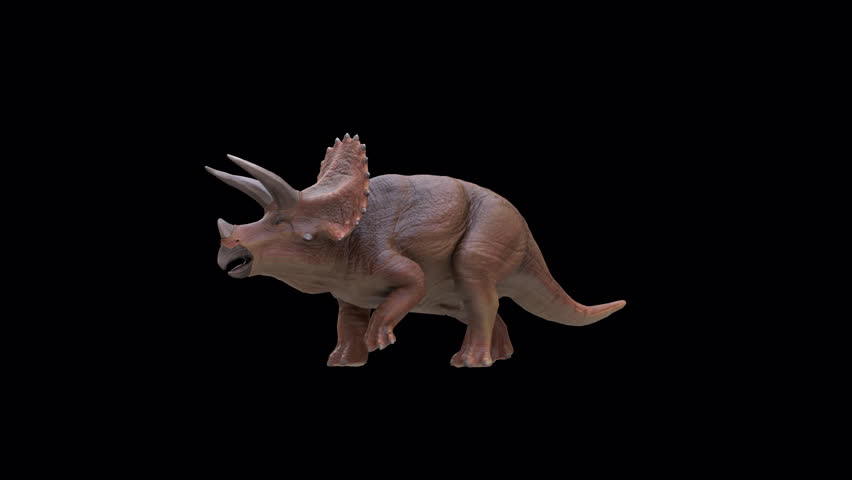 Triceratops Dinosaur 3D Video Animation Transparent Alpha
