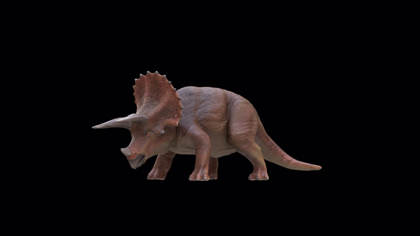 Triceratops Dinosaur 3D Video Animation Transparent Alpha