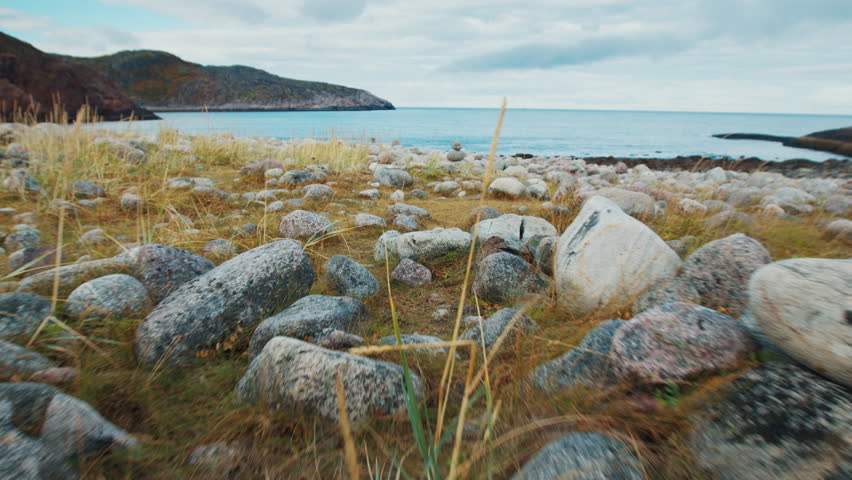 Arctic landscape. Autumn arctic landscape of the Kola Peninsula near the town of Teriberka with mountains and bright plants
