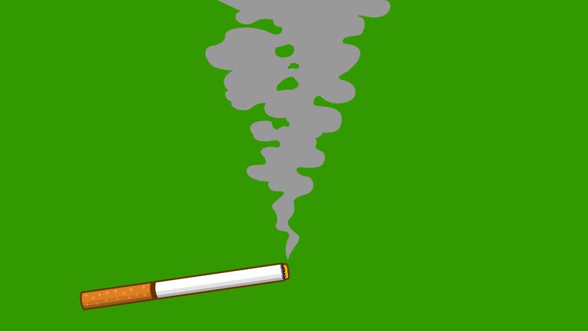 Burning Cigarette With A Smoke Formed Skulls. 4K Animation Video Motion Graphics With Green Screen Background