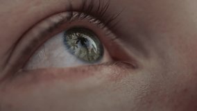 Portrait: reflection of a palm tree in the eyes of a young woman. A girl posing in Bali, looking at palm trees in Ubud Indonesia. The female enjoys her vacation and puts on, big eyes, a teenager. - Powered by Shutterstock - Get 15% off with code: PIKWIZARD15