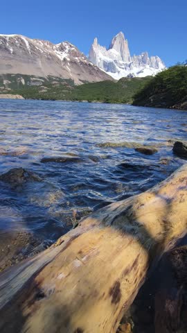Crystal-clear lake water washing over smooth stones and a tree trunk on the shore. In the background, the iconic Fitz Roy massif rises sharply under a bright blue sky, surrounded by lush greenery.
