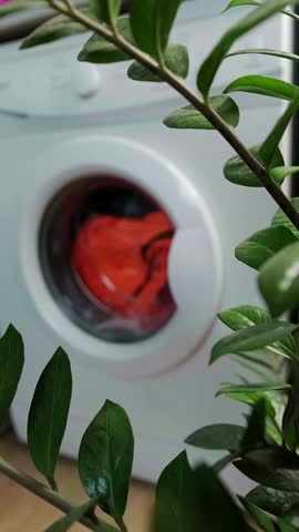 Dryers - comfort in drying clothes at home, drying clothes after washing, laundry process in action.